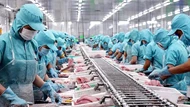 EU siết quy định nhãn mác, doanh nghiệp Việt xuất khẩu thực phẩm cần lưu ý
