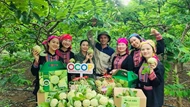 Quảng bá, nâng cao giá trị sản phẩm na và nông sản tỉnh Thái Nguyên
