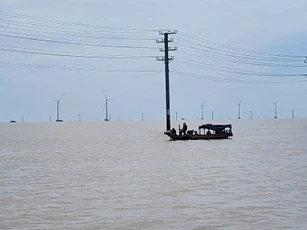 Vĩnh Long: 13 trụ đường dây truyền tải điện bị gãy trong lúc bảo trì