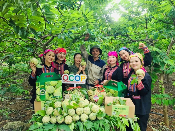 Chương trình nhằm đẩy mạnh quảng bá, truyền thông, xúc tiến, nâng cao giá trị, mở rộng thị trường tiêu thụ sản phẩm na của Thái Nguyên