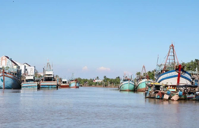 Hàng loạt tàu cá tại các địa phương trong tỉnh Vĩnh Long đang chuẩn bị hạ buồm vươn khơi khai thác thủy sản. 