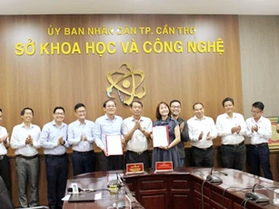 Cần Thơ đẩy mạnh hợp tác về ứng dụng và phát triển trí tuệ nhân tạo