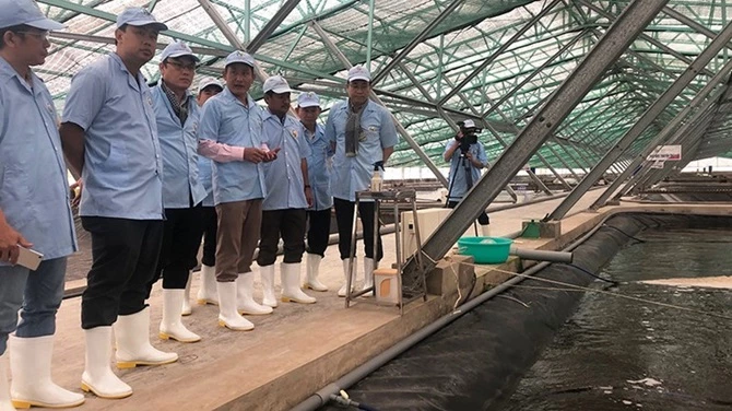 Các nhà khoa học của Đại học Quốc gia Thành phố Hồ Chí Minh tư vấn cho một doanh nghiệp nuôi tôm ở Cà Mau