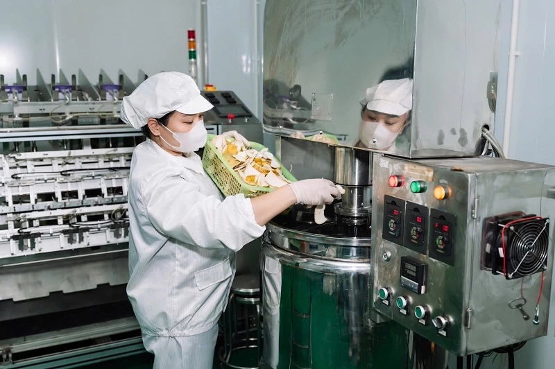 Nhà máy chế biến nông – lâm sản của Vinanutrifood Bình Định sẽ ứng dụng quản lý nông nghiệp qua AI, truy xuất nguồn gốc bằng Blockchain. 