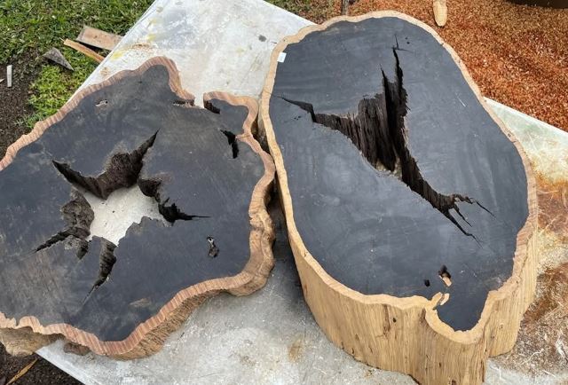 Khám phá loại gỗ được mệnh danh là báu vật ngàn năm, một tấm gỗ trị giá cả căn hộ cao cấp