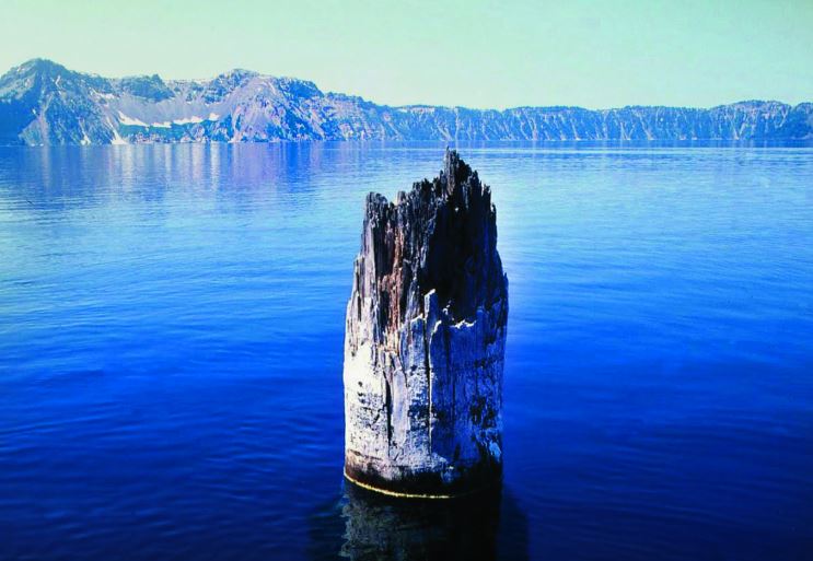 Kh&#xFA;c g&#x1ED7; huy&#x1EC1;n b&#xED; tr&#xEA;n h&#x1ED3; Crater: 450 n&#x103;m tu&#x1ED5;i, 120 n&#x103;m kh&#xF4;ng ch&#xEC;m, &#x1EA9;n ch&#x1EE9;a s&#x1EE9;c m&#x1EA1;nh th&#x1EDD;i ti&#x1EBF;t?