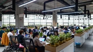VNG vào nhóm 29 doanh nghiệp tư nhân đóng thuế lớn nhất Việt Nam
