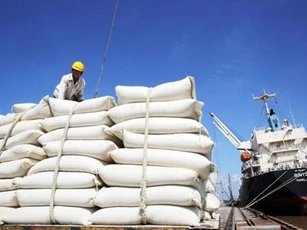 Nghiên cứu thông tin về giải pháp để gạo Việt giữ vị trí xuất khẩu thứ hai thế giới