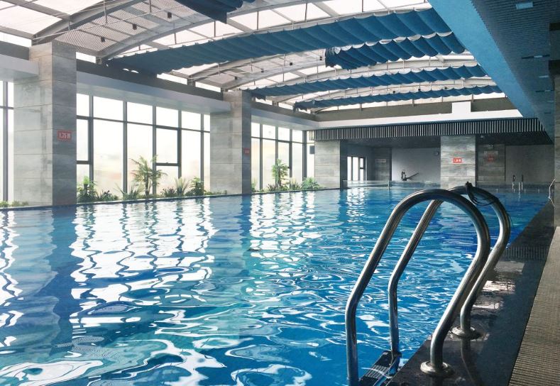 Bí ẩn màu xanh trong bể bơi: Sự kết hợp giữa thiên nhiên và bàn tay con người