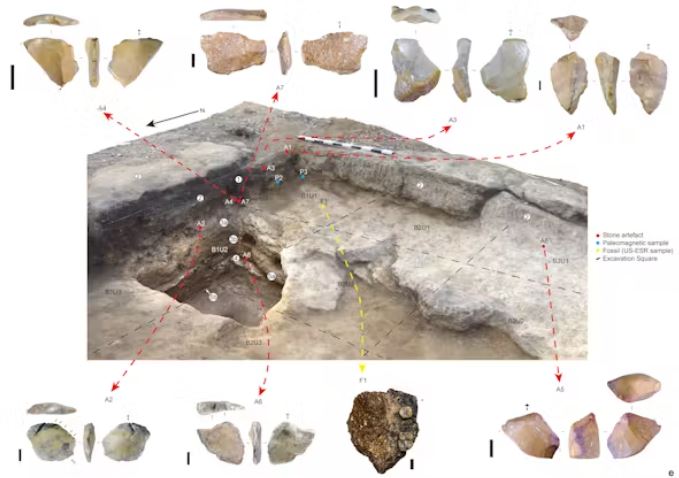 Hé lộ bí ẩn 'người hobbit': Công cụ bằng đá 1 triệu năm tuổi ở Indonesia thách thức mọi giả thuyết