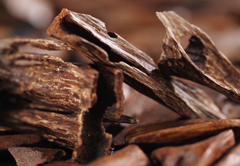 Sự thật đằng sau giá trị 'khủng' của trầm hương: Không phải ngẫu nhiên mà đắt hơn vàng