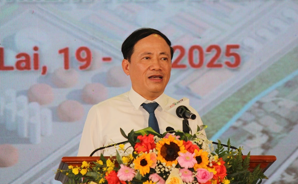 Gia Lai khởi công khu công nghiệp chiến lược tại Phù Mỹ