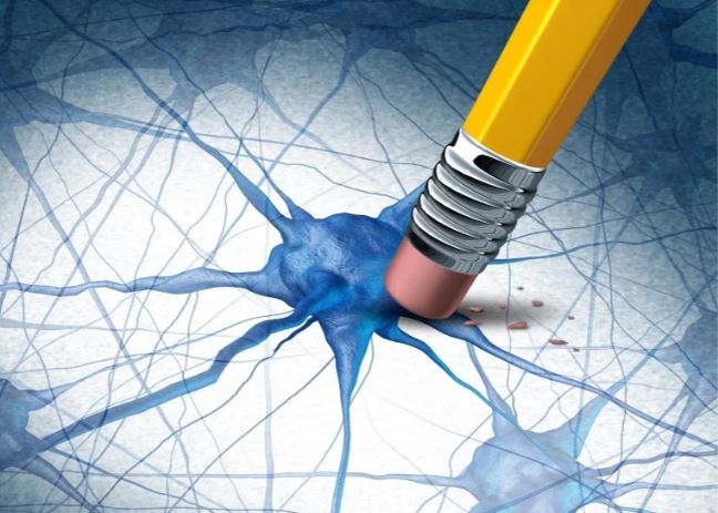 Khám phá hợp chất tự nhiên có khả năng loại bỏ protein gây bệnh Alzheimer