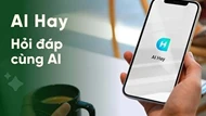 Hai AI 'nội địa' trong top 10 công cụ AI được người Việt ưa chuộng