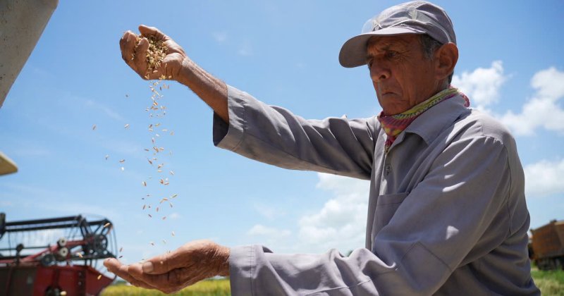 'Hạt giống hạnh phúc' - Phim tài liệu đặc biệt về tình hữu nghị Việt Nam và Cuba