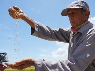 'Hạt giống hạnh phúc' - Phim tài liệu đặc biệt về tình hữu nghị Việt Nam và Cuba
