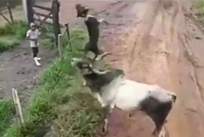 Ảnh cắt từ clip.