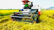 Tây Ninh - UAE bàn chuyện cung ứng nông sản sang Trung Đông