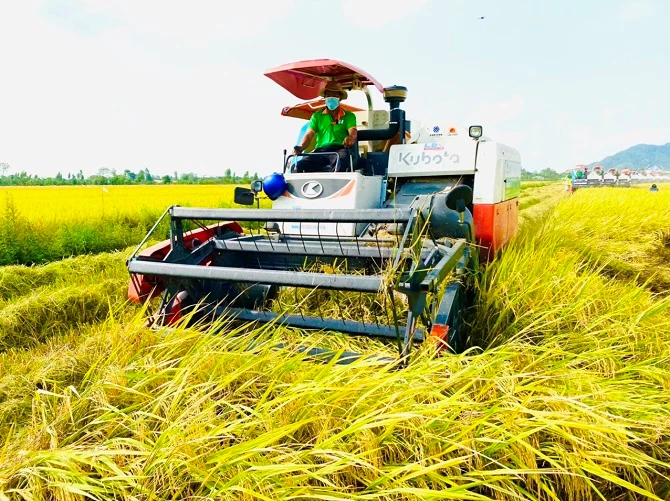 Đồng bằng sông Cửu Long có vị trí chiến lược và vai trò trung tâm sản xuất nông nghiệp - thực phẩm của Việt Nam. Khu vực này là vựa lúa, vựa trái cây và trung tâm nuôi trồng thủy sản lớn nhất Việt Nam