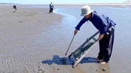 Vĩnh Long lên kế hoạch 'làm chủ kinh tế biển'