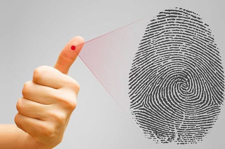 Bí mật về sự hình thành và công dụng của vân tay