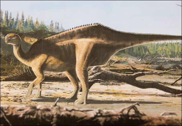 Phát hiện loài khủng long mới với ‘cánh buồm’ kỳ lạ trên lưng