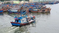 Đà Nẵng siết chặt công tác ứng phó bão Kajiki