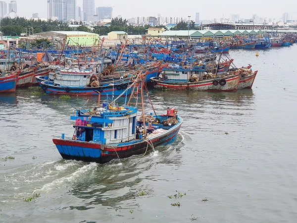 Tàu cá di chuyển vào âu thuyền Thọ Quang (Đà Nẵng) để tránh trú bão. Tàu cá di chuyển vào âu thuyền Thọ Quang (Đà Nẵng) để tránh trú bão.