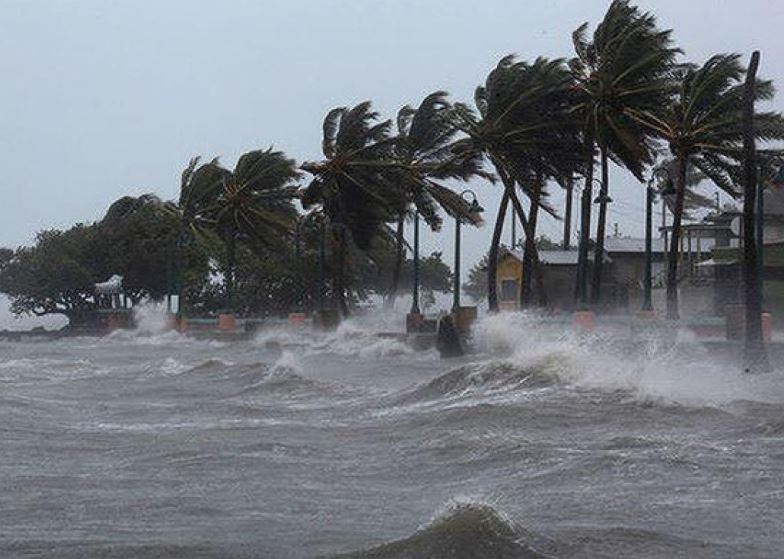 Bão là gì, hình thành như thế nào?