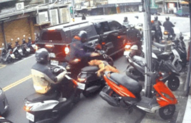 CLIP: Chó Pitbull bất thần lao từ ô tô xuống cắn người đi xe máy