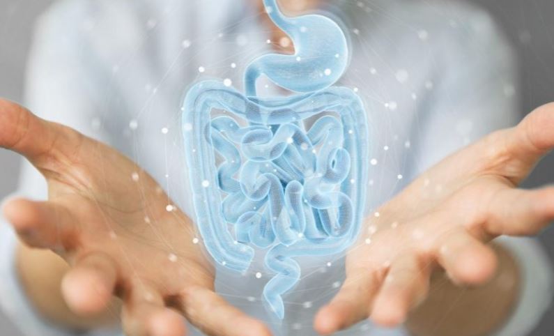 Khám phá phương pháp mới chống tiểu đường: Dùng ‘bẫy vi khuẩn’ để hạ đường huyết và bảo vệ gan