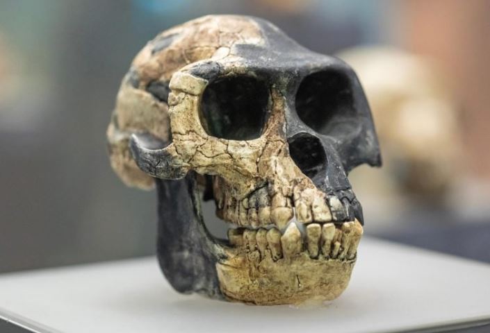 H&#xF3;a th&#x1EA1;ch m&#x1EDB;i ti&#x1EBF;t l&#x1ED9; &#x27;ng&#x1B0;&#x1EDD;i anh em h&#x1ECD;&#x27; b&#xED; &#x1EA9;n &#x111;&#xE3; m&#x1EA5;t c&#x1EE7;a lo&#xE0;i ng&#x1B0;&#x1EDD;i