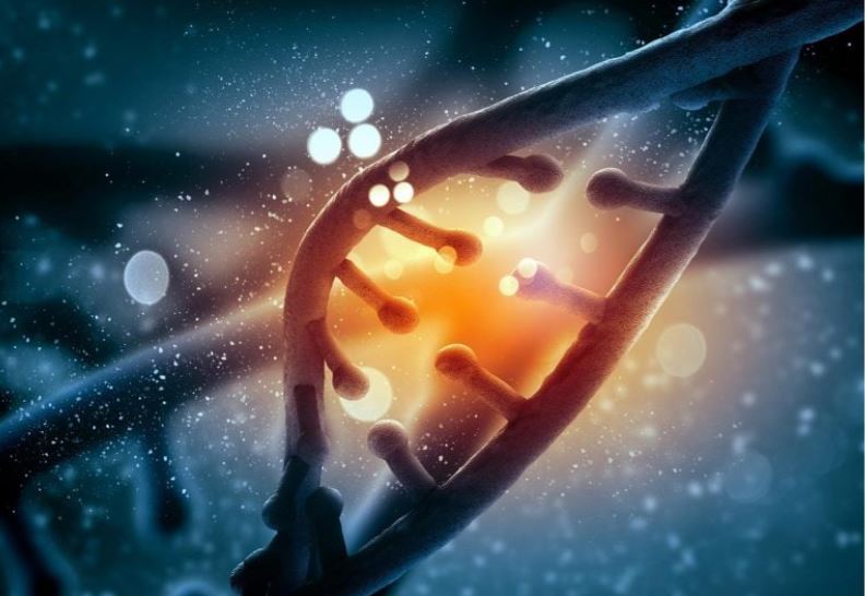 Phát hiện DNA bí ẩn từ loài người tuyệt chủng hàng ngàn năm trước