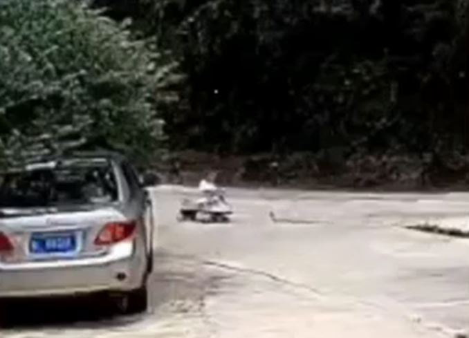 CLIP: Bố nhanh trí cứu bé trai thoát chết trong gang tấc trước rắn hổ mang