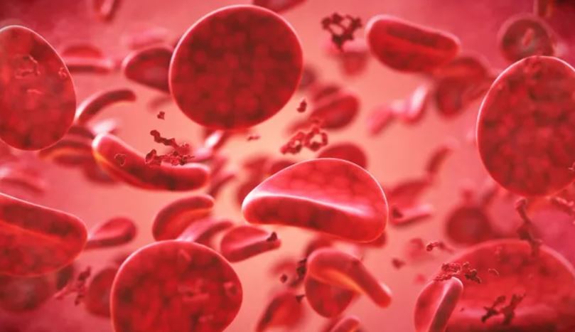 Vì sao con người lại có nhiều nhóm máu khác nhau?