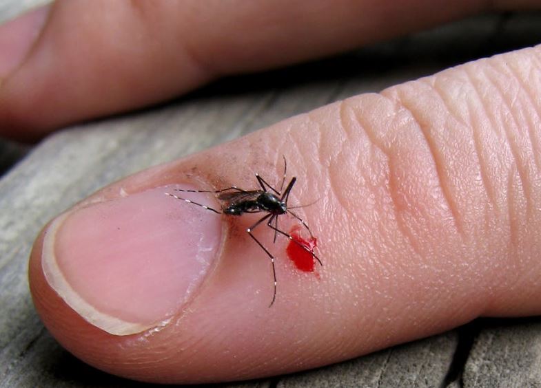 V&#xEC; sao b&#x1EA1;n lu&#xF4;n l&#xE0; &#x2018;m&#x1ED3;i ngon&#x2019; c&#x1EE7;a mu&#x1ED7;i, c&#xF2;n ng&#x1B0;&#x1EDD;i kh&#xE1;c th&#xEC; kh&#xF4;ng?