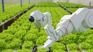 Vĩnh Long chuyển giao công nghệ, thúc đẩy kinh tế tuần hoàn trong nông nghiệp
