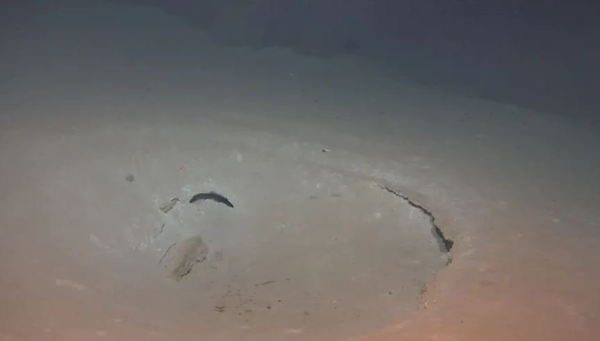 Tàu ngầm Trung Quốc phát hiện nơi chứa bí mật sự sống ở đáy Thái Bình Dương