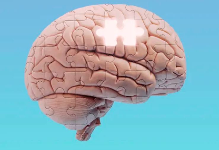 Bộ não con người có thể bị 'hết dung lượng' trí nhớ hay không?