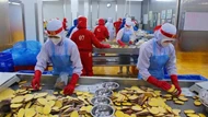 Lâm Đồng: Doanh nghiệp khởi sắc, xuất khẩu bứt phá