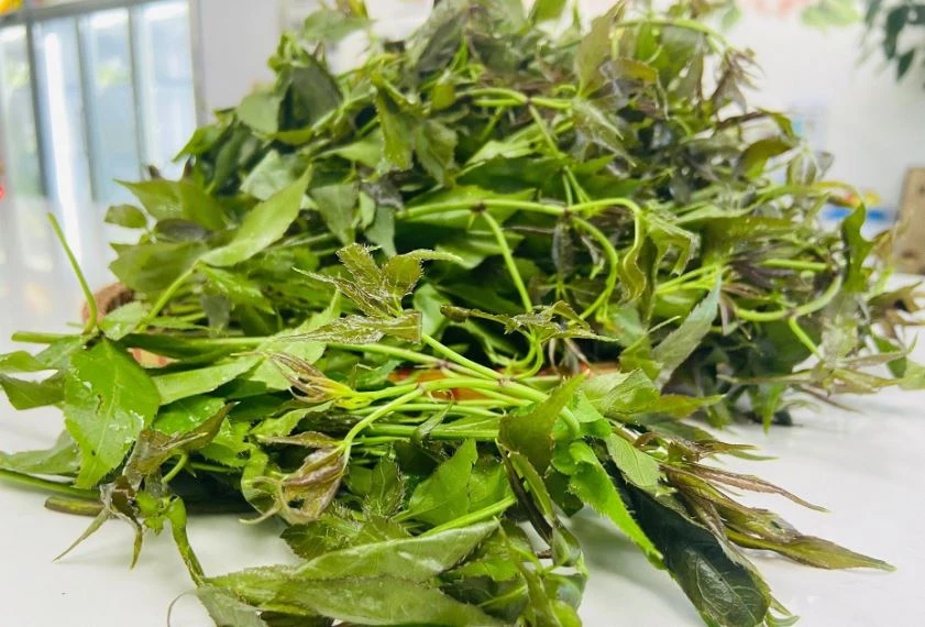 Ảnh: Vietnamnet.