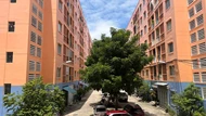 Đà Nẵng: Lấy ý kiến về tăng giá thuê nhà ở xã hội thuộc tài sản công