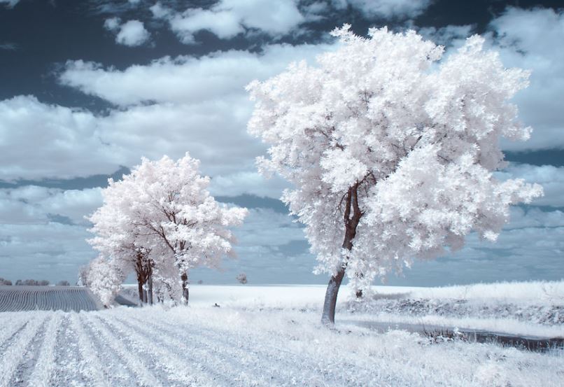 Vì sao tuyết lại có màu trắng?