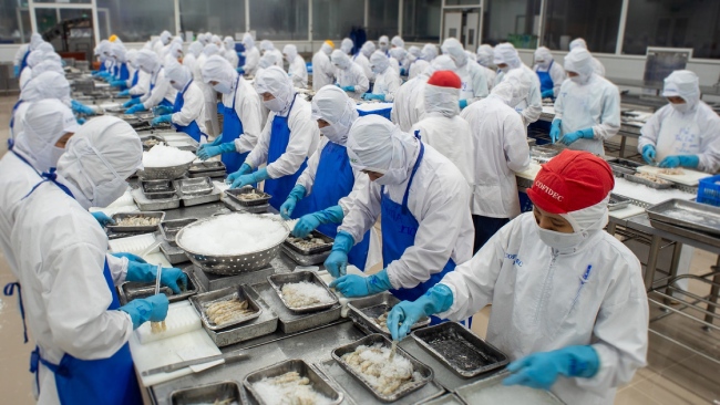 Để doanh nghiệp không còn nỗi lo bị 'hình sự hóa'

