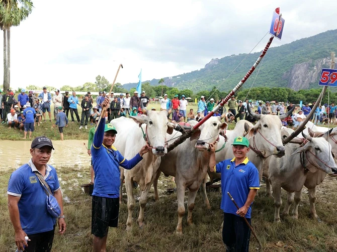 Các chủ bò trước giờ tranh tài.