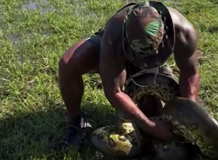 Người đàn ông tay không khống chế trăn anaconda khổng lồ, kết thúc bằng hành động gây sốc