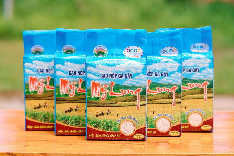 Phú Thọ xây dựng chỉ dẫn địa lý cho sản phẩm gạo nếp Gà Gáy Mỹ Lung