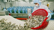 Những thách thức của xuất khẩu thủy sản trong năm 2026