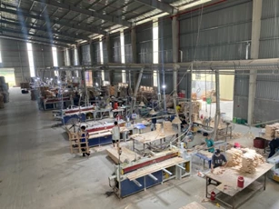 Doanh nghiệp gỗ cần chính sách riêng để 'đứng trên vai người khổng lồ'