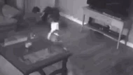 CLIP: Chó Pitbull dũng cảm tấn công kẻ đột nhập, bảo vệ chủ nhân